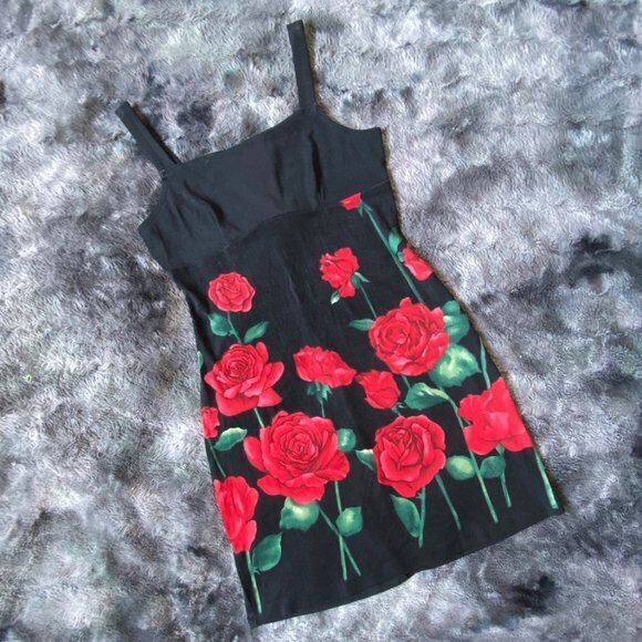 Charlotte Russe Vtg Rose Garden Dress